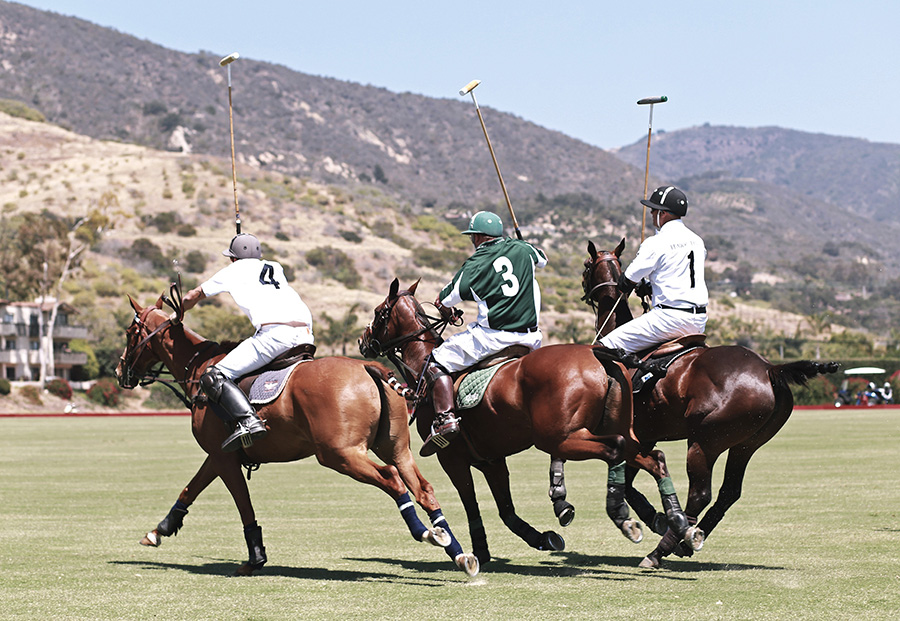 santa barbara polo and racquet 5