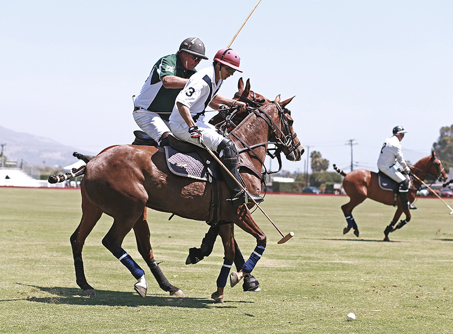 santa barbara polo and racquet 6