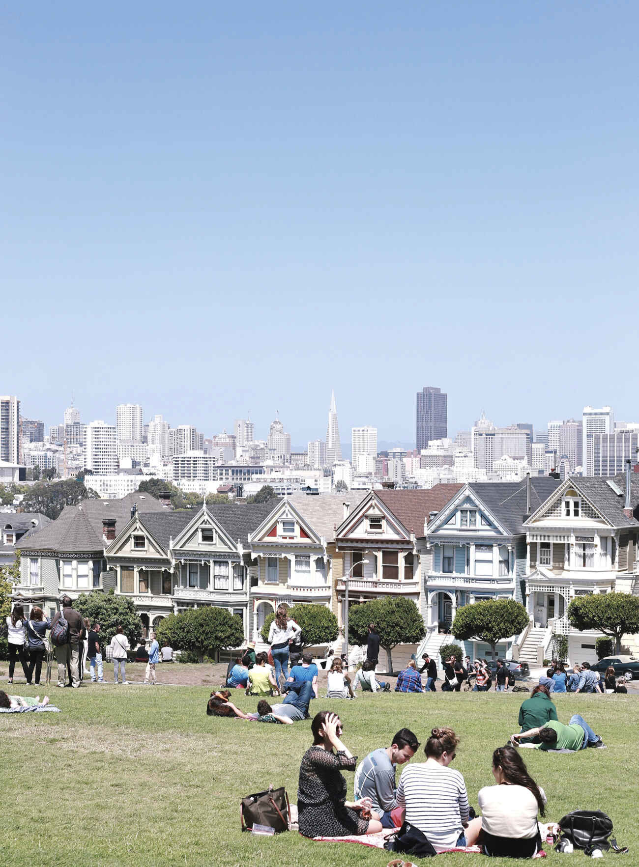 Painted Ladies SF