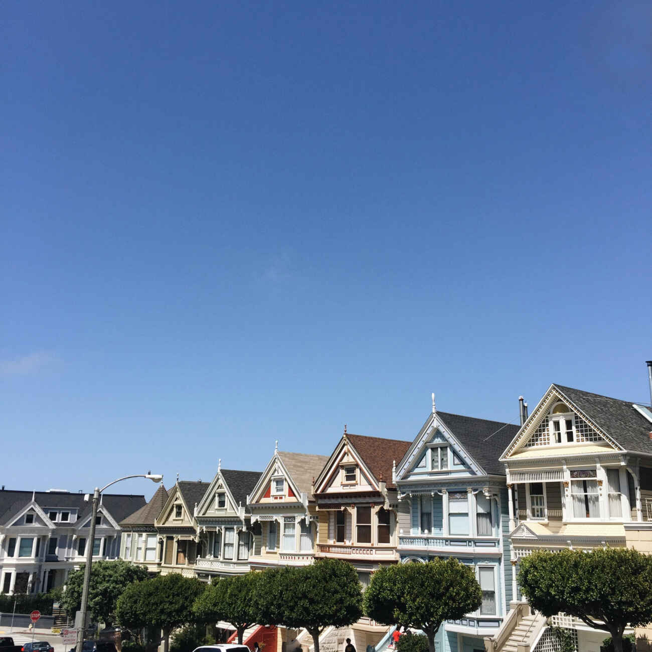 Painted Ladies SF San Francisco