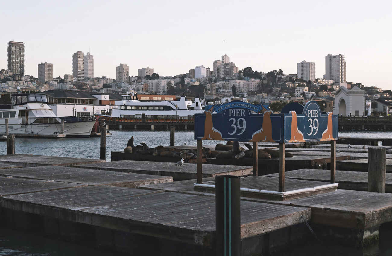 Pier 39 San Francisco