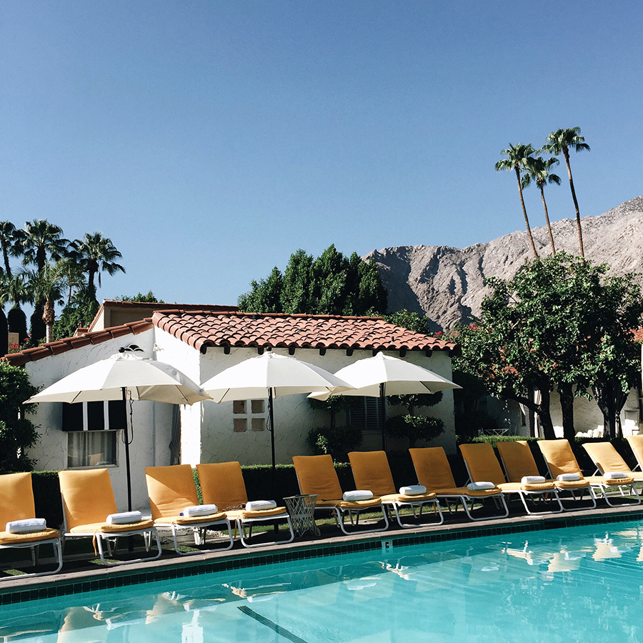 brittanyxavier.com Pool at the Avalon Hotel Palm Springs