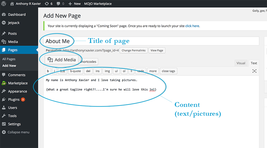 addning a page to wordpress