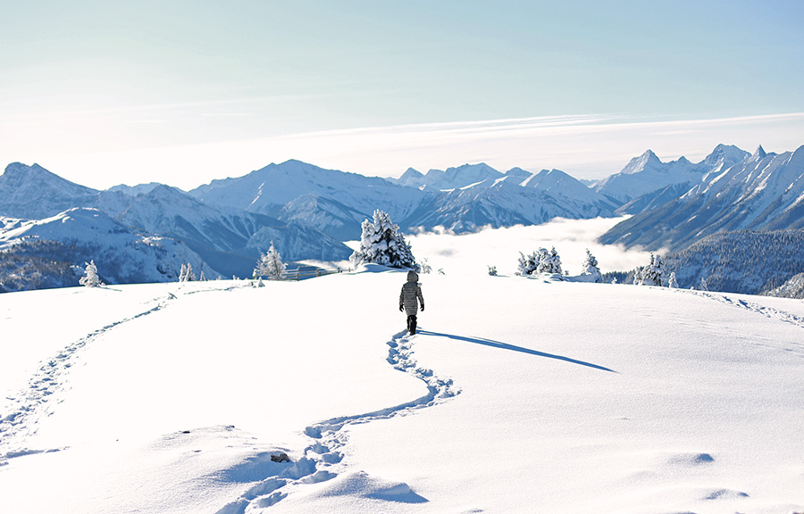 Snowshoeing Banff National Park