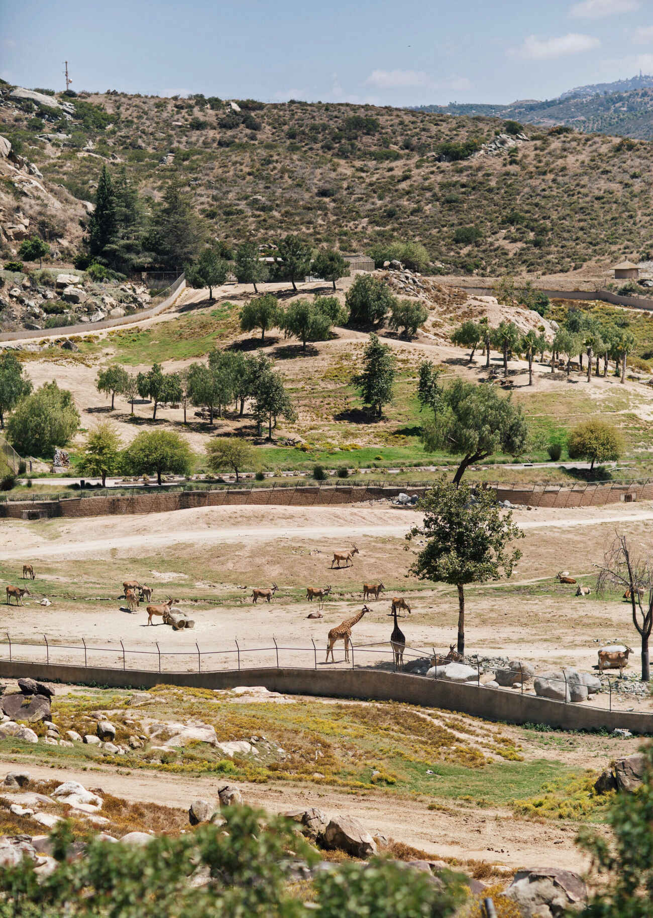 San Diego Safari Park