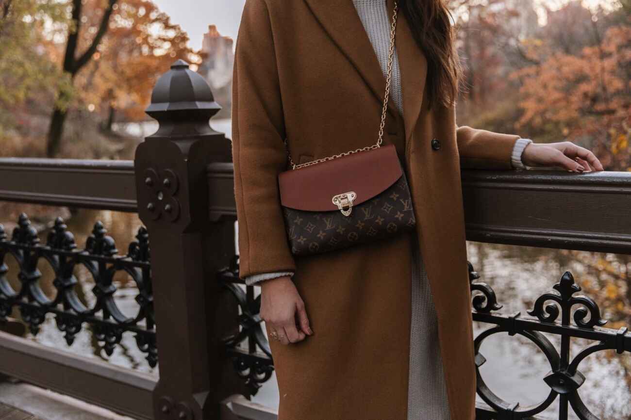 Louis Vuitton Saint Placide Bag